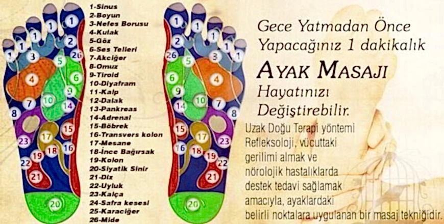 Ayak Refleksolojinde Hangi Alan Hangi Organa Etki Etmektedir?